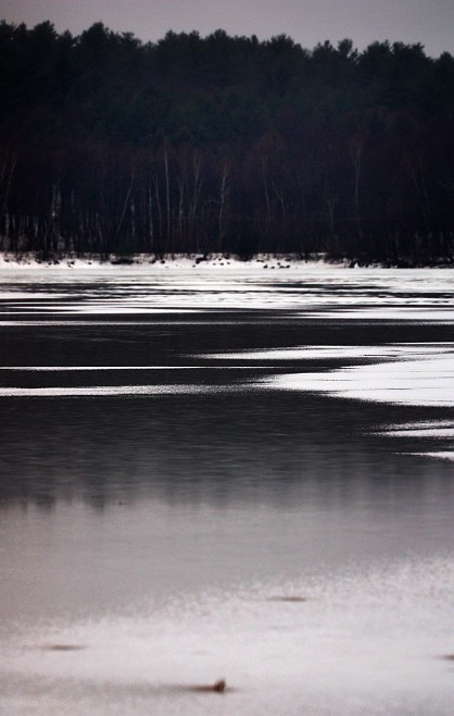 icerain3.jpg