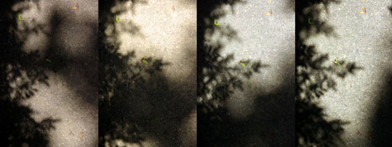 IMGP2090_edit_small.jpg