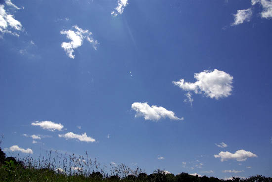IMGP2746_edit_small.jpg