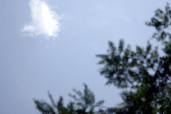 IMGP3254_small.jpg