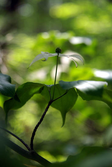 IMGP3421_small.jpg