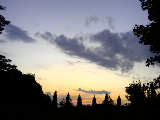 0621082033_small.jpg