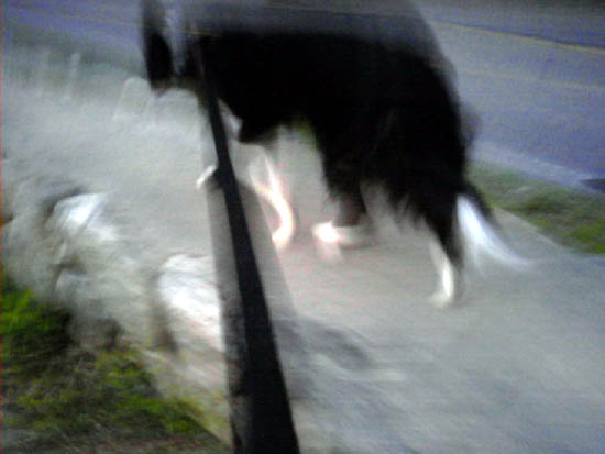 0621082034_small.jpg