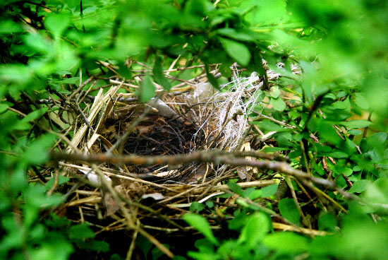 IMGP4434_edit_small.jpg