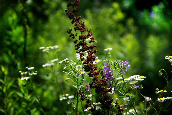IMGP4456_edit_small.jpg