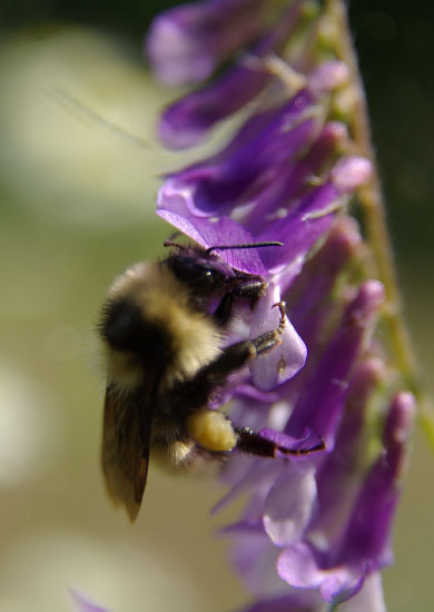 IMGP4473_small.jpg