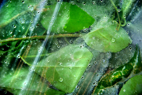 IMGP4721_edit_small.jpg