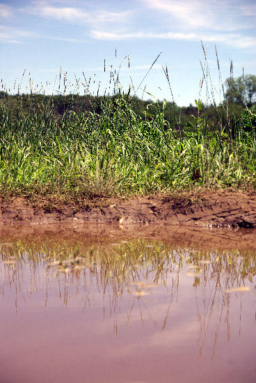 IMGP4757_smal.jpg