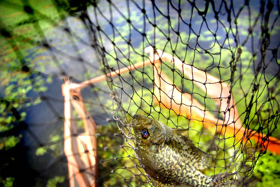 IMGP6256_edit_small.jpg