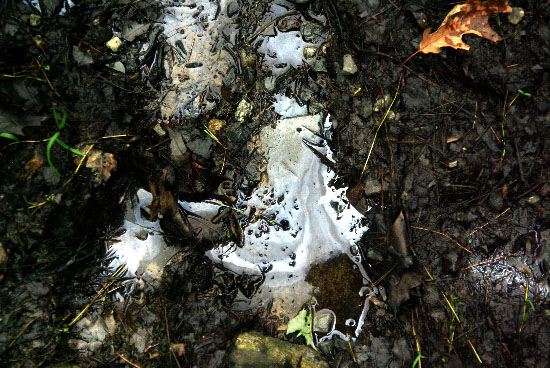 IMGP6885_edit_small.jpg