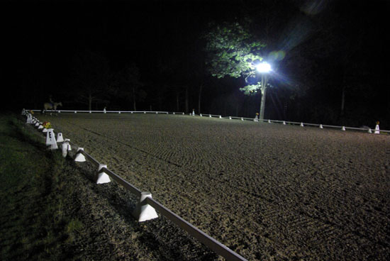 IMGP7810_small.jpg