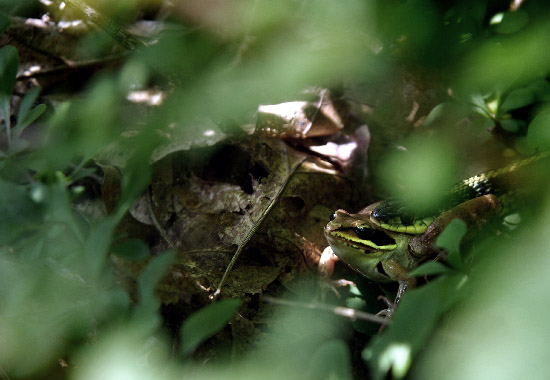 IMGP8394_edit_small.jpg