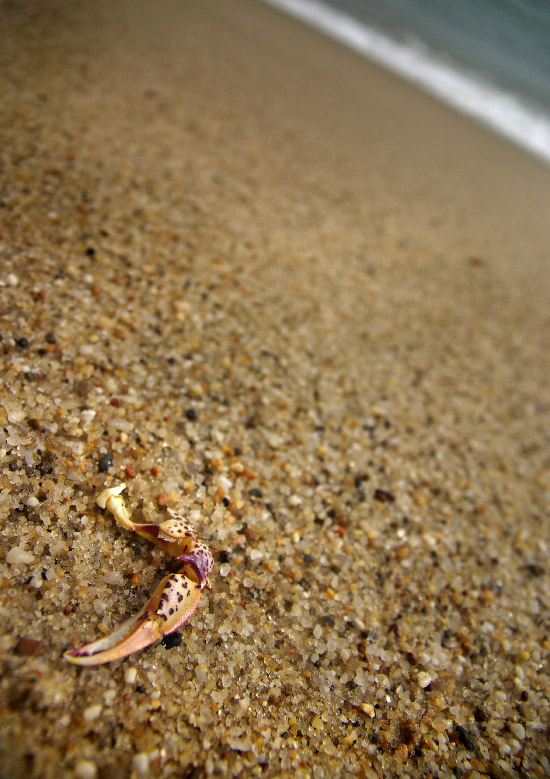 IMGP4865_edit_small.jpg