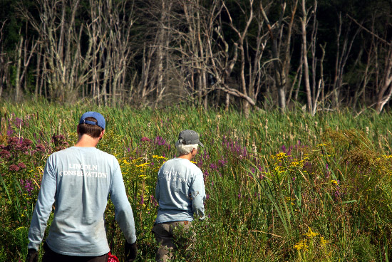 IMGP5508_edit_small.jpg
