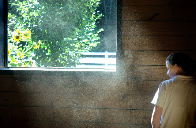 IMGP5989_edit_small.jpg