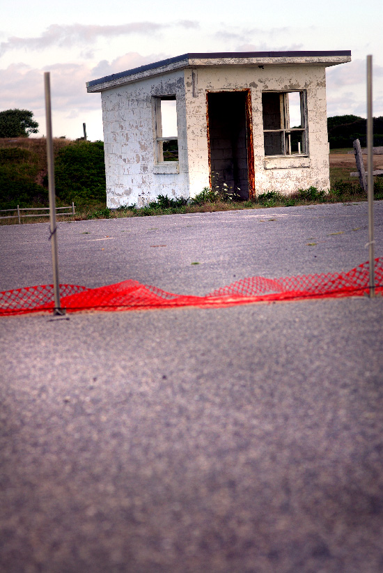 IMGP9590_edit_small.jpg