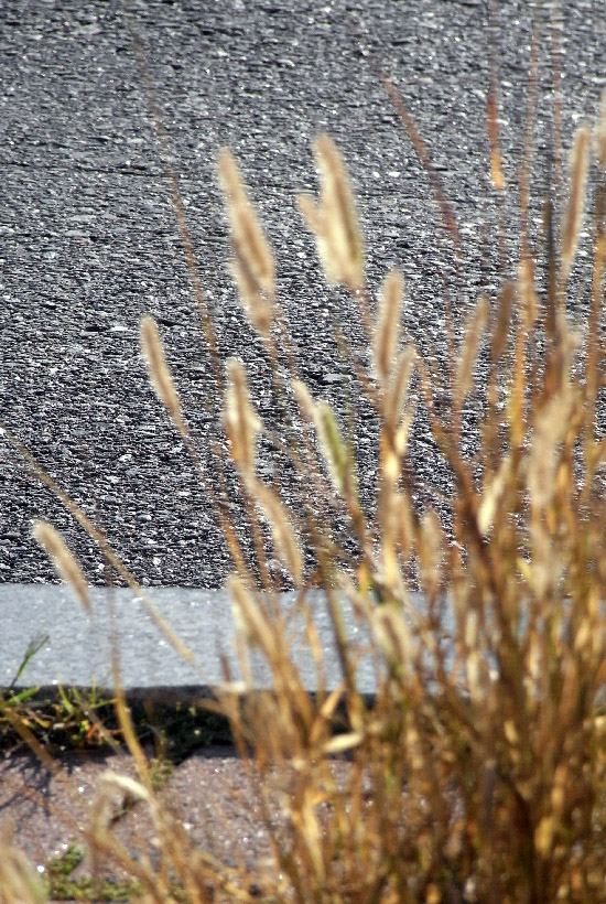 RIMG0018-edit_small.jpg