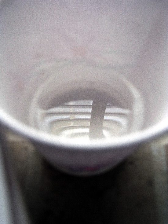 RIMG0018_edit_small.jpg