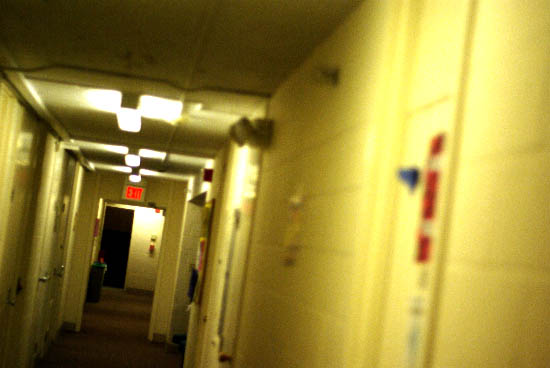 IMGP7107_small.jpg