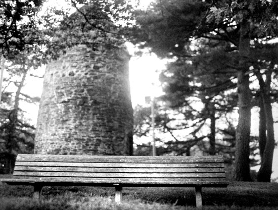 IMGP7705_edit_small.jpg