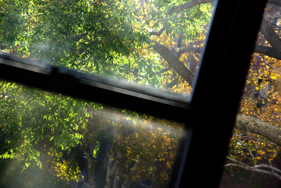 IMGP1725_edit_small.jpg