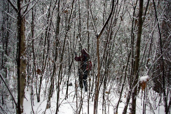 IMGP7022_edit_small.jpg