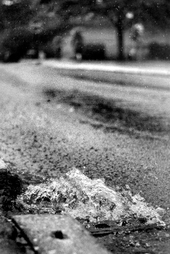 IMGP8346_edit_small.jpg