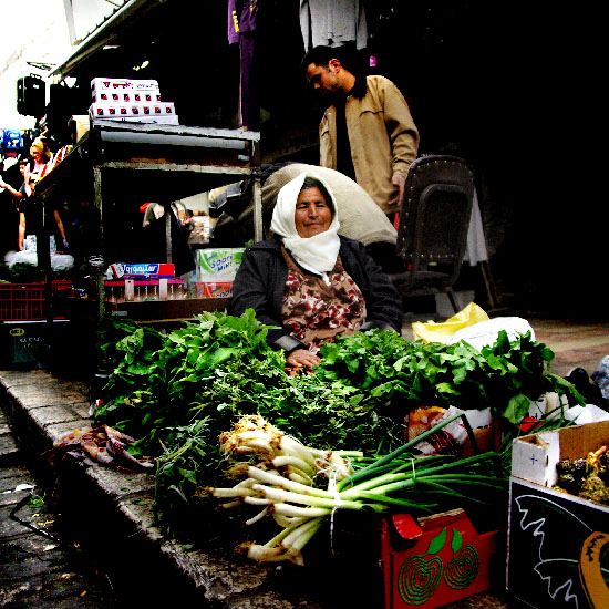 IMGP8397_edit_small.jpg