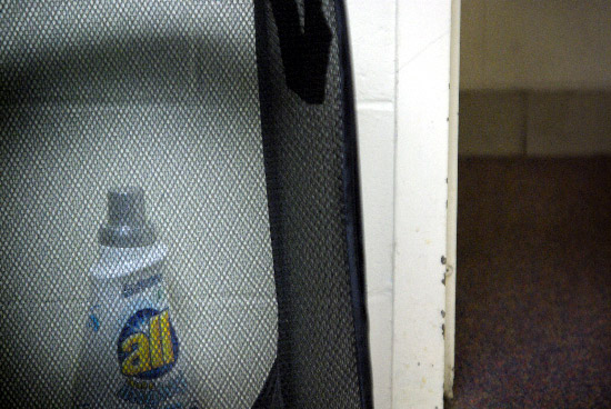 IMGP8598_edit_small.jpg