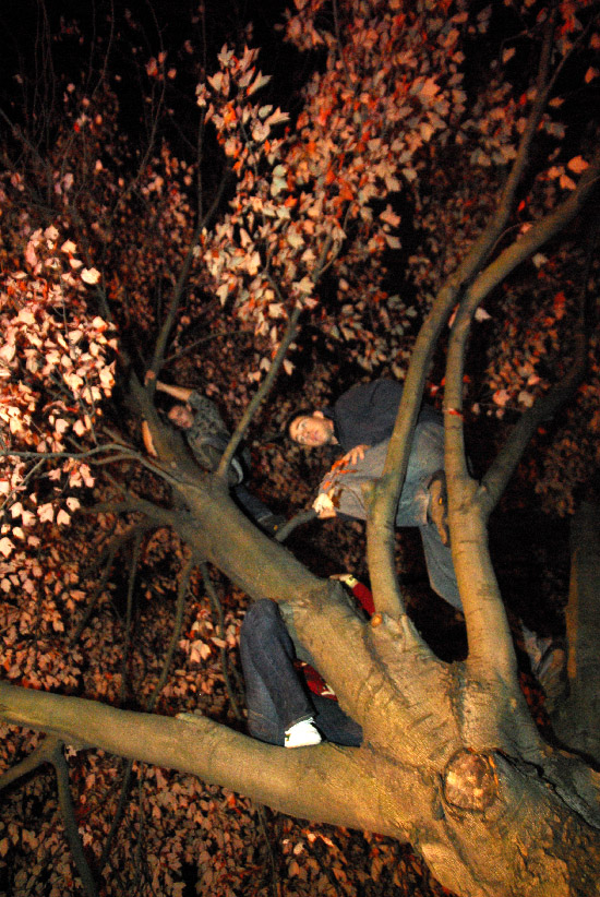 IMGP3921_edit_small.jpg