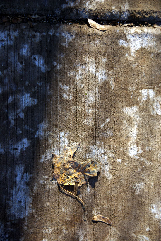 autumn