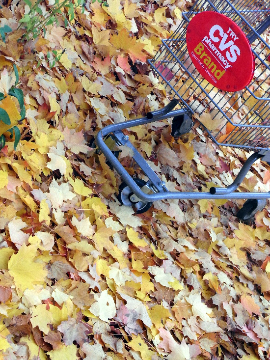 autumn