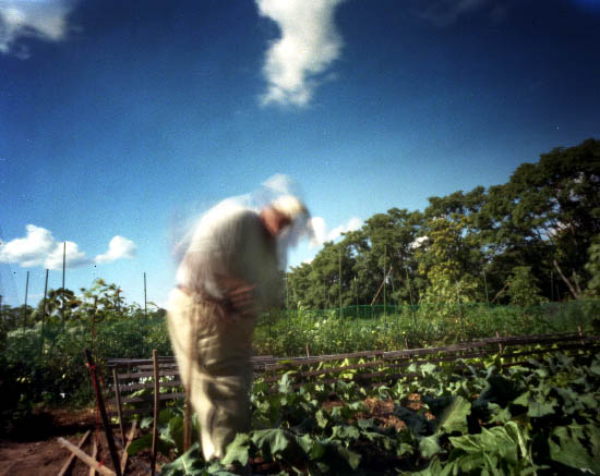 farmer2_small