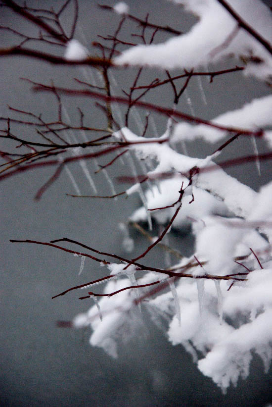 imgp8696_edit_small