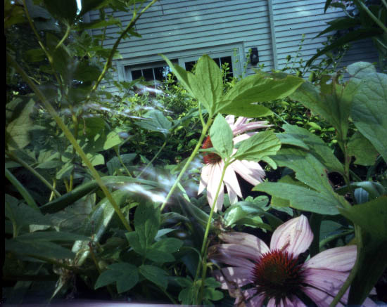 yard_small