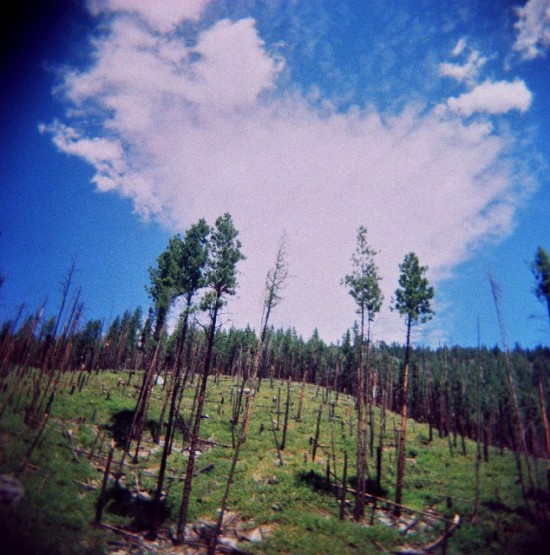 _-_00842 _-_00842