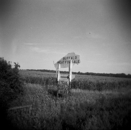 _-_0115 _-_0115