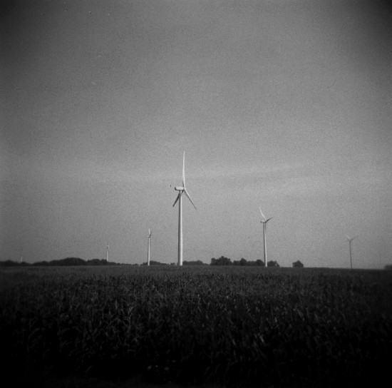 _0082 _0082