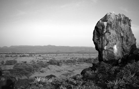 ianm8154_bw_small