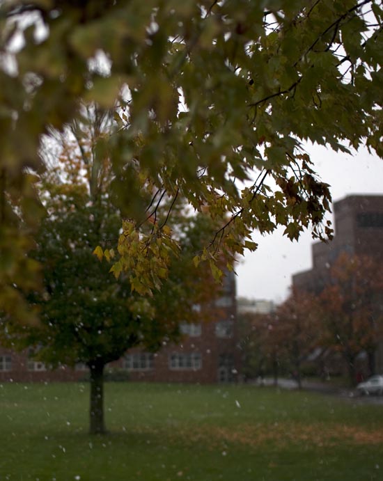 Tufts University Snow