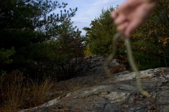 Middlesex Fells
