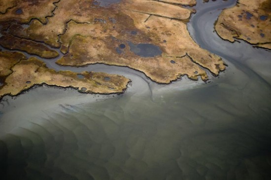 Plum Island Geology Trip