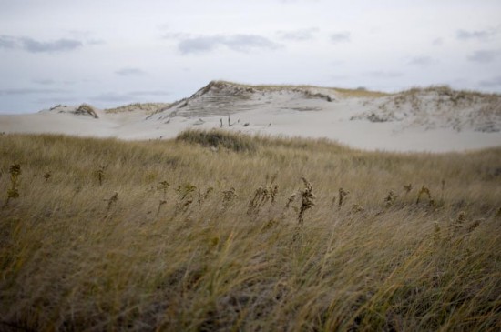 Crane's Beach Ipswich Massachusetts