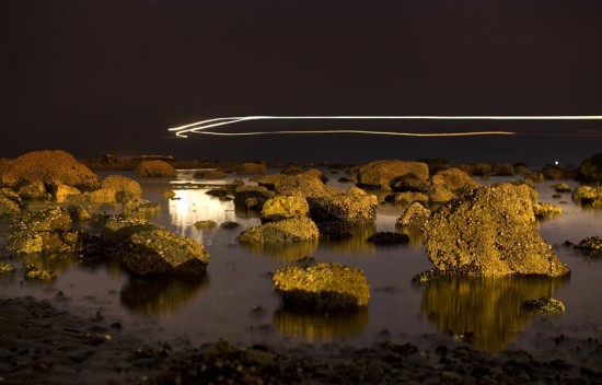Wonderland at low tide by Ian MacLellan