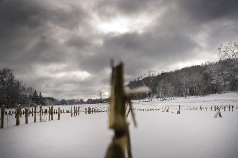 snow