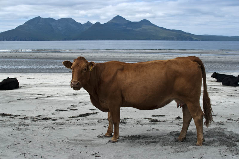 Isle of Eigg