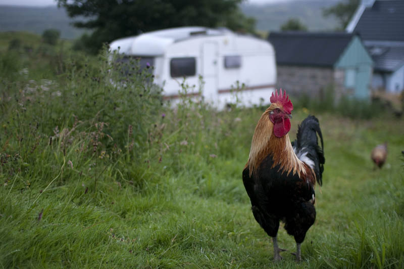 Eigg