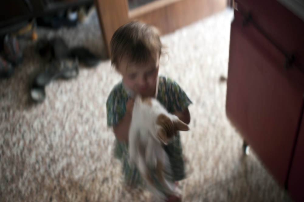 IANM5479-2_edit_small