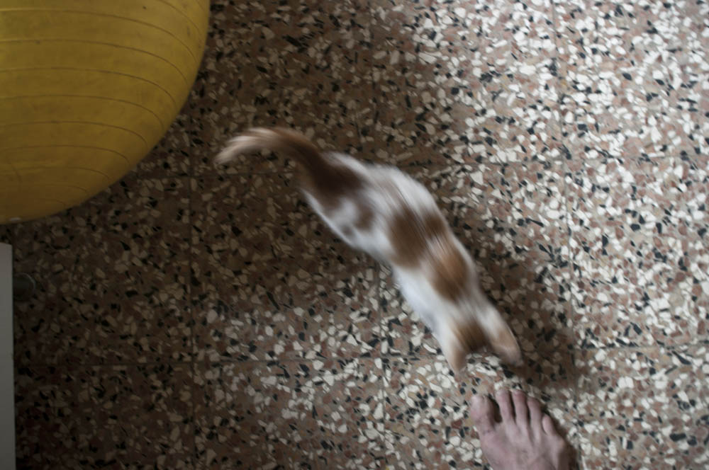 IANM6304_edit_small