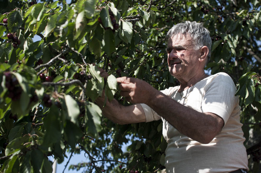IANM6615_edit_small